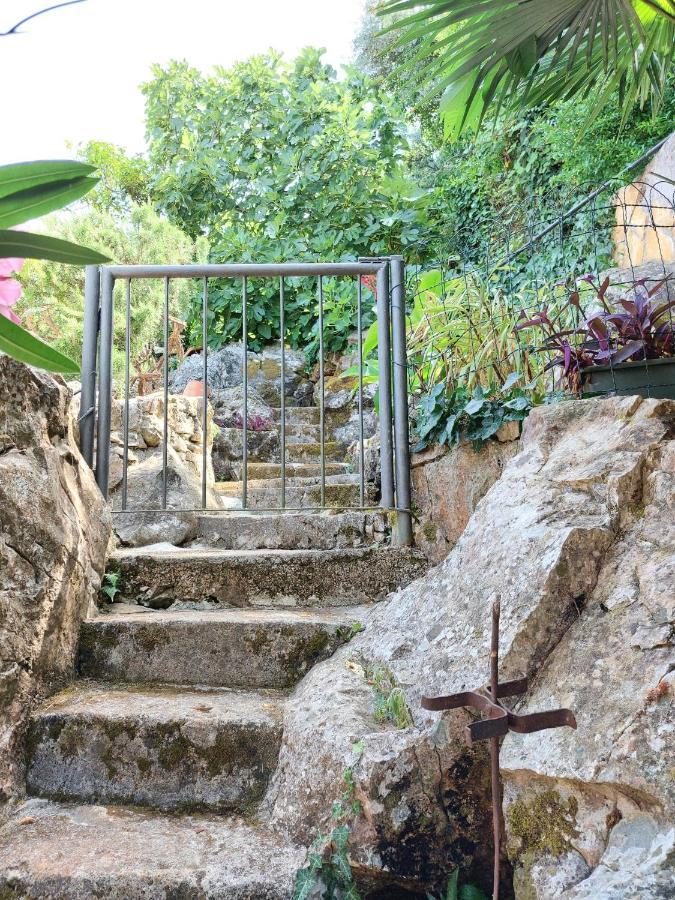 Villa Riva Molunat Exteriér fotografie