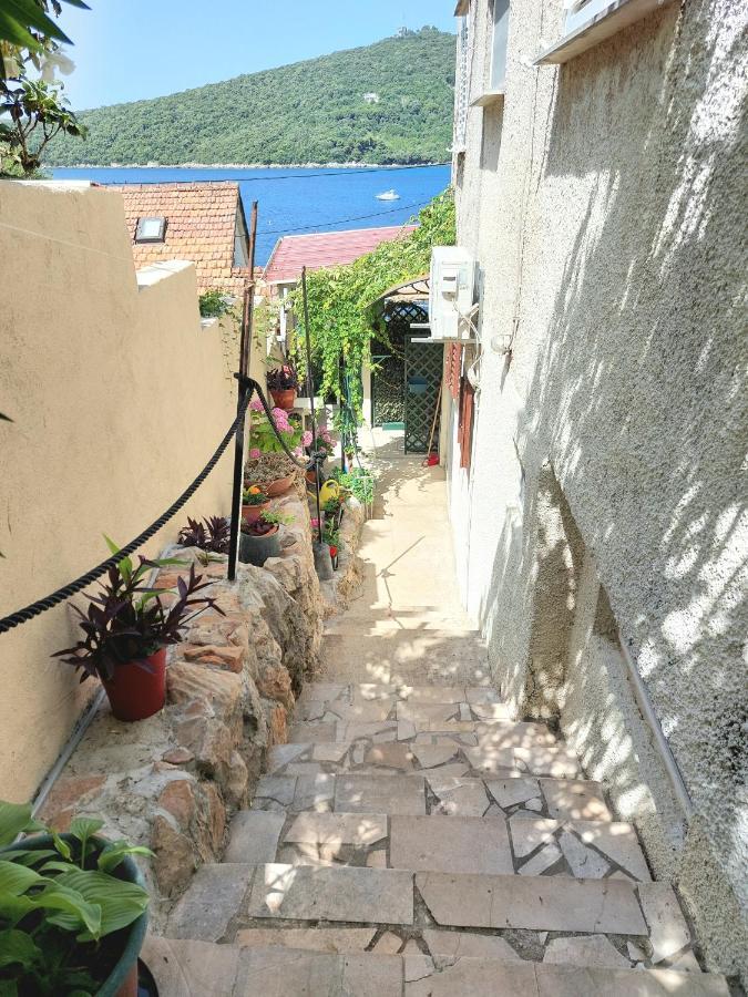 Villa Riva Molunat Exteriér fotografie