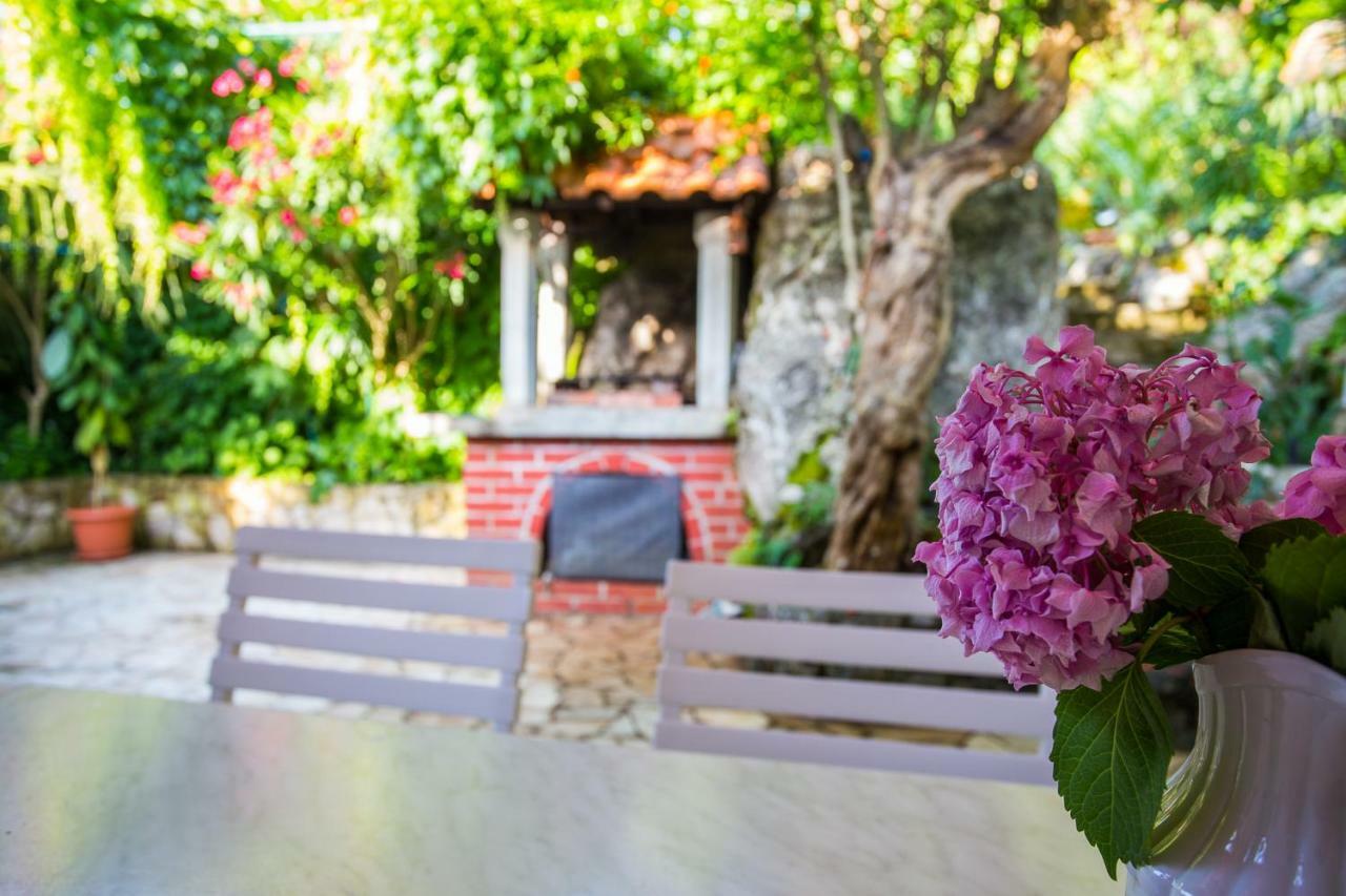 Villa Riva Molunat Exteriér fotografie