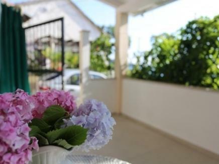 Villa Riva Molunat Exteriér fotografie