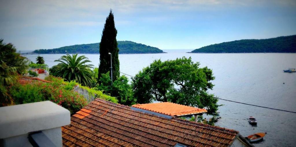 Villa Riva Molunat Exteriér fotografie